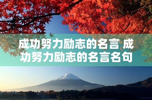 成功努力励志的名言 成功努力励志的名言名句 成功努力励志的名言 成功努力励志的名言名句