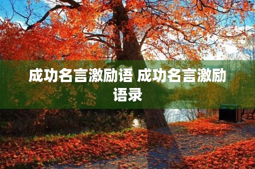 成功名言激励语 成功名言激励语录 成功名言激励语 成功名言激励语录