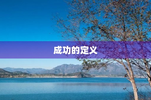 成功的定义