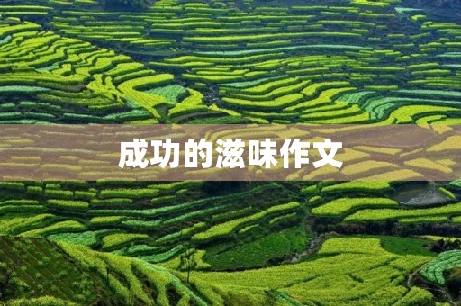成功的滋味作文 成功的滋味作文