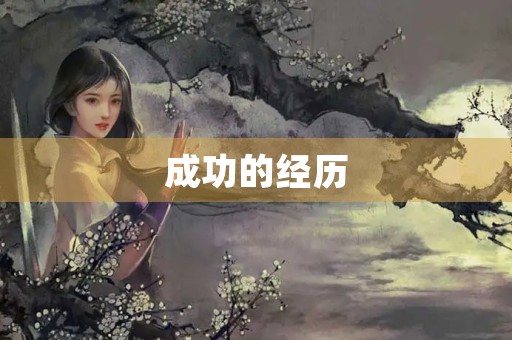 成功的经历 成功的经历