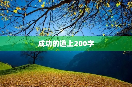 成功的道上200字