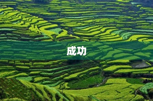 成功，不是一蹴而就的