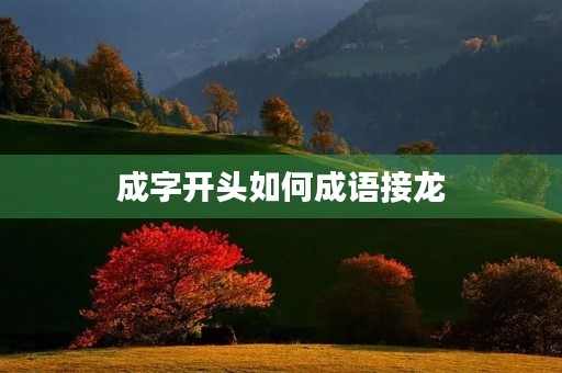 成字开头如何成语接龙
