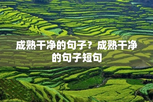 成熟干净的句子?成熟干净的句子短句 成熟干净的句子?成熟干净的句子短句