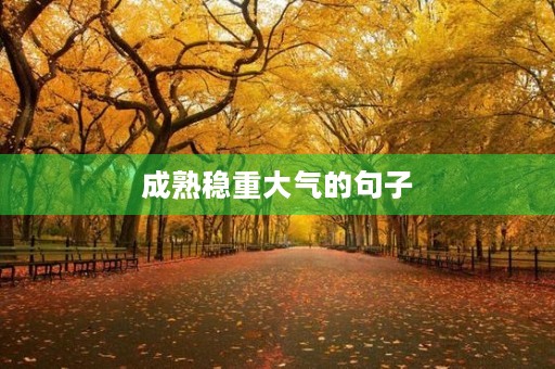 成熟稳重大气的句子(成熟干净的句子)