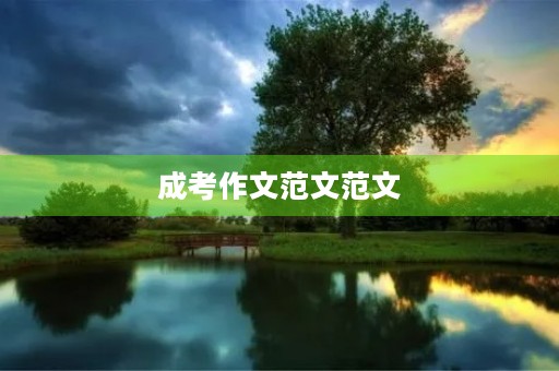 成考作文范文范文