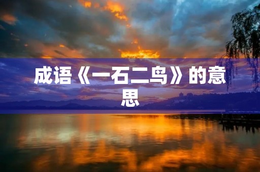 成语《一石二鸟》的意思