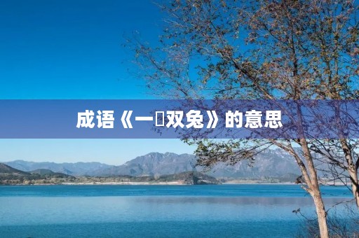 成语《一鵰双兔》的意思 成语《一鵰双兔》的意思