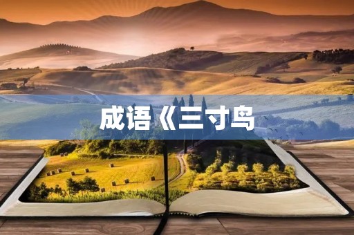 成语《三寸鸟，七寸嘴》的意思