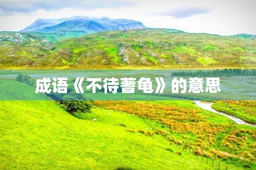 成语《不待蓍龟》的意思 成语《不待蓍龟》的意思