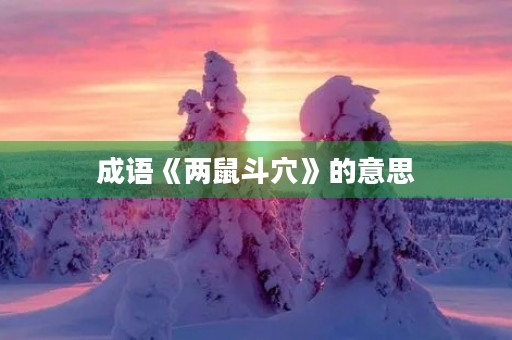 成语《两鼠斗穴》的意思