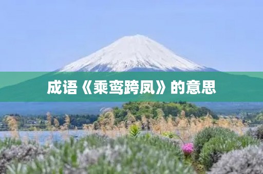 成语《乘鸾跨凤》的意思