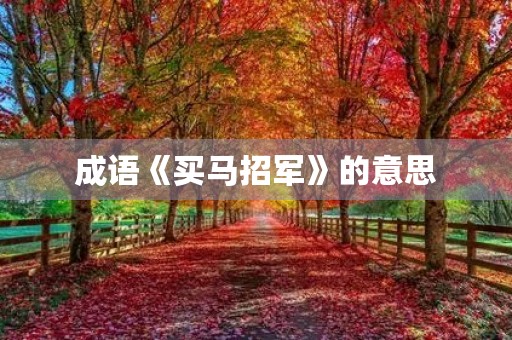 成语《买马招军》的意思