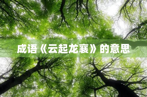 成语《云起龙襄》的意思 成语《云起龙襄》的意思