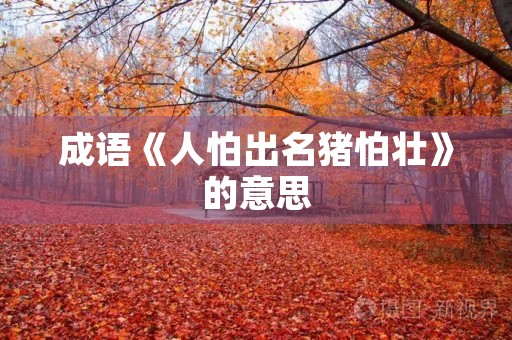 成语《人怕出名猪怕壮》的意思