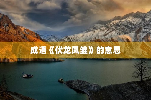 成语《伏龙凤雏》的意思 成语《伏龙凤雏》的意思
