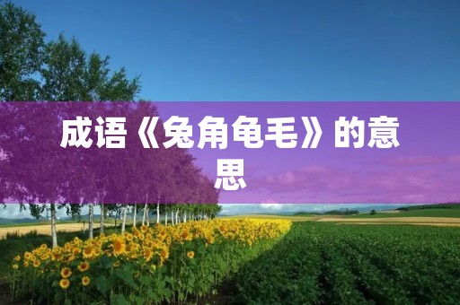 成语《兔角龟毛》的意思