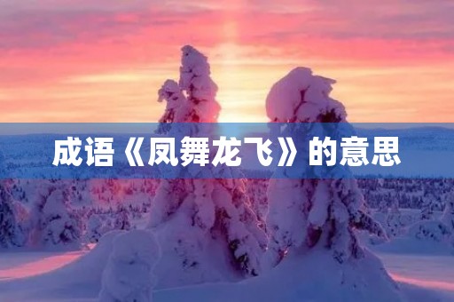 成语《凤舞龙飞》的意思 成语《凤舞龙飞》的意思