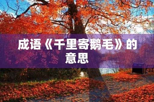 成语《千里寄鹅毛》的意思 成语《千里寄鹅毛》的意思