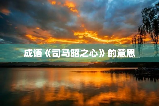 成语《司马昭之心》的意思 成语《司马昭之心》的意思