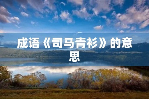 成语《司马青衫》的意思 成语《司马青衫》的意思