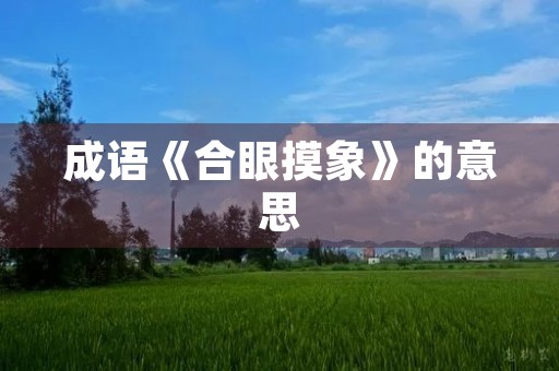成语《合眼摸象》的意思