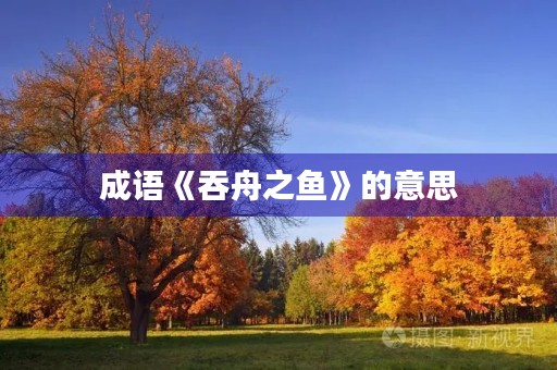 成语《吞舟之鱼》的意思 成语《吞舟之鱼》的意思