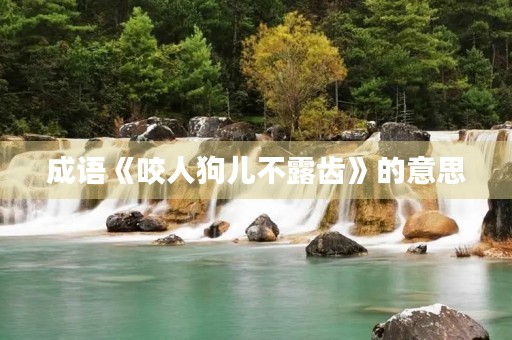 成语《咬人狗儿不露齿》的意思 成语《咬人狗儿不露齿》的意思
