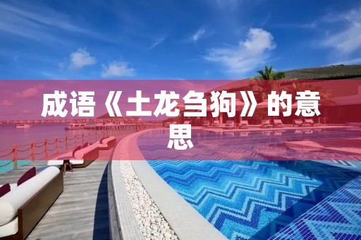 成语《土龙刍狗》的意思 成语《土龙刍狗》的意思