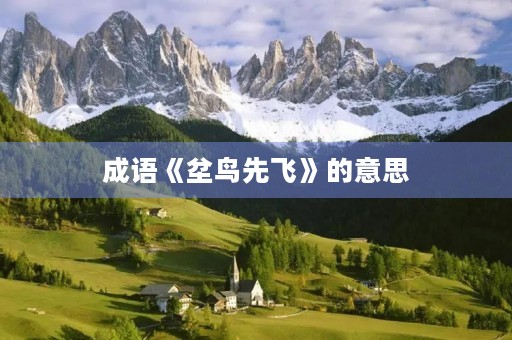成语《坌鸟先飞》的意思