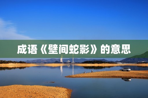 成语《壁间蛇影》的意思