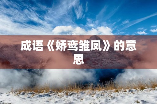 成语《娇鸾雏凤》的意思 成语《娇鸾雏凤》的意思
