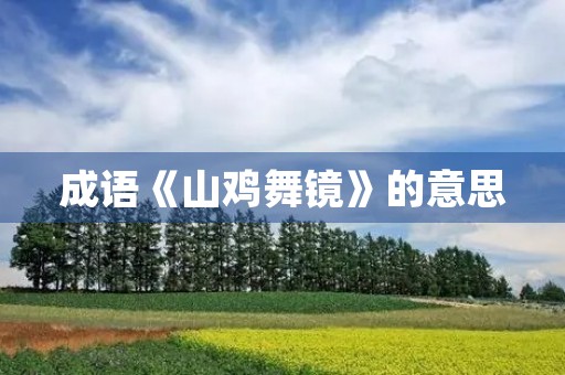 成语《山鸡舞镜》的意思 成语《山鸡舞镜》的意思