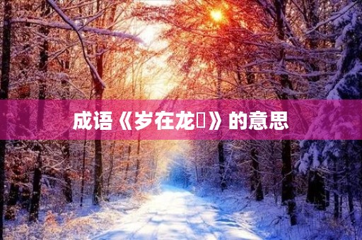 成语《岁在龙虵》的意思 成语《岁在龙虵》的意思