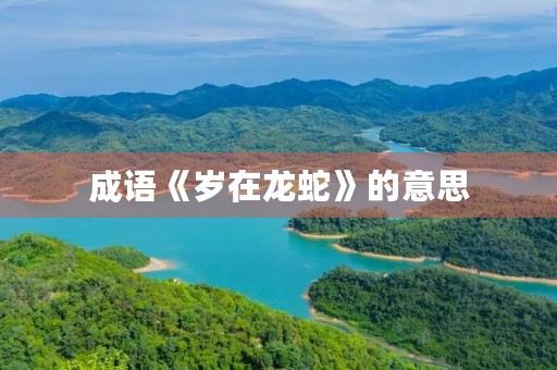 成语《岁在龙蛇》的意思 成语《岁在龙蛇》的意思