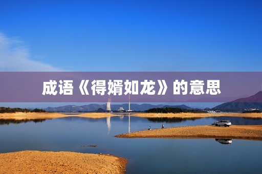 成语《得婿如龙》的意思 成语《得婿如龙》的意思