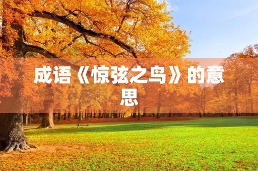 成语《惊弦之鸟》的意思 成语《惊弦之鸟》的意思