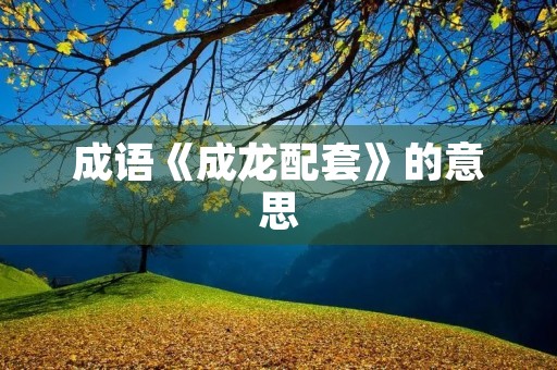 成语《成龙配套》的意思 成语《成龙配套》的意思