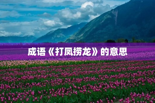 成语《打凤捞龙》的意思