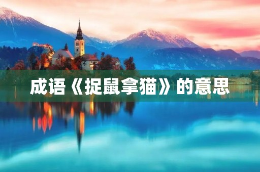 成语《捉鼠拿猫》的意思 成语《捉鼠拿猫》的意思