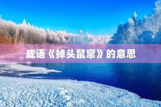 成语《掉头鼠窜》的意思