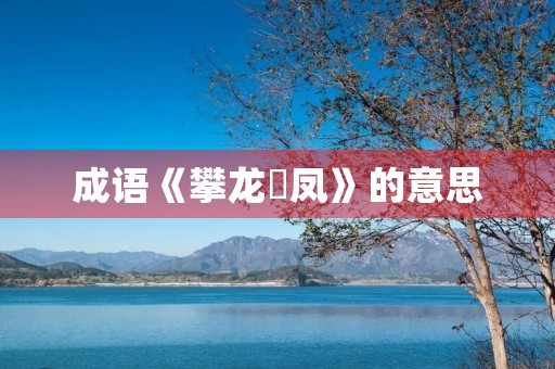 成语《攀龙讬凤》的意思 成语《攀龙讬凤》的意思