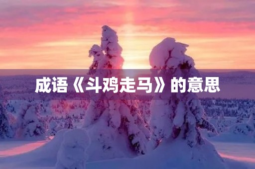 成语《斗鸡走马》的意思 成语《斗鸡走马》的意思
