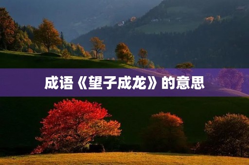 成语《望子成龙》的意思 成语《望子成龙》的意思