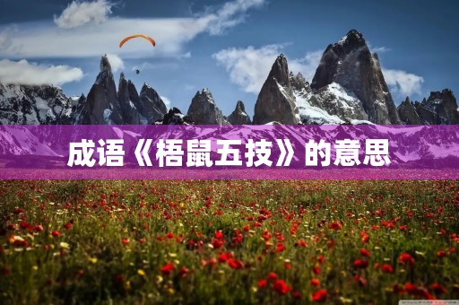 成语《梧鼠五技》的意思 成语《梧鼠五技》的意思