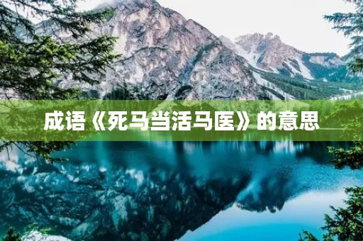 成语《死马当活马医》的意思