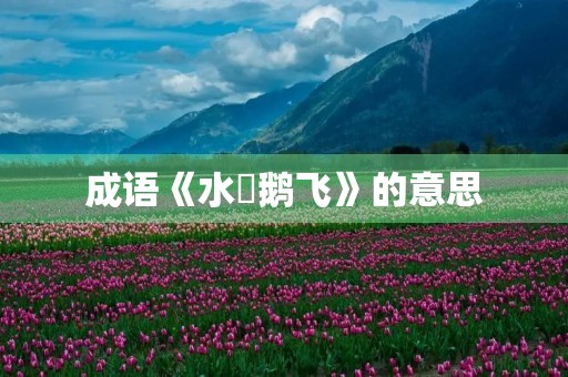 成语《水浄鹅飞》的意思