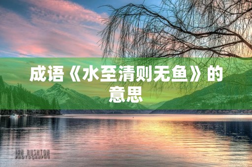 成语《水至清则无鱼》的意思 成语《水至清则无鱼》的意思