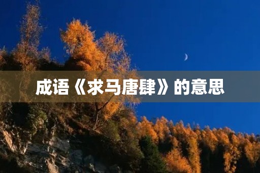 成语《求马唐肆》的意思 成语《求马唐肆》的意思